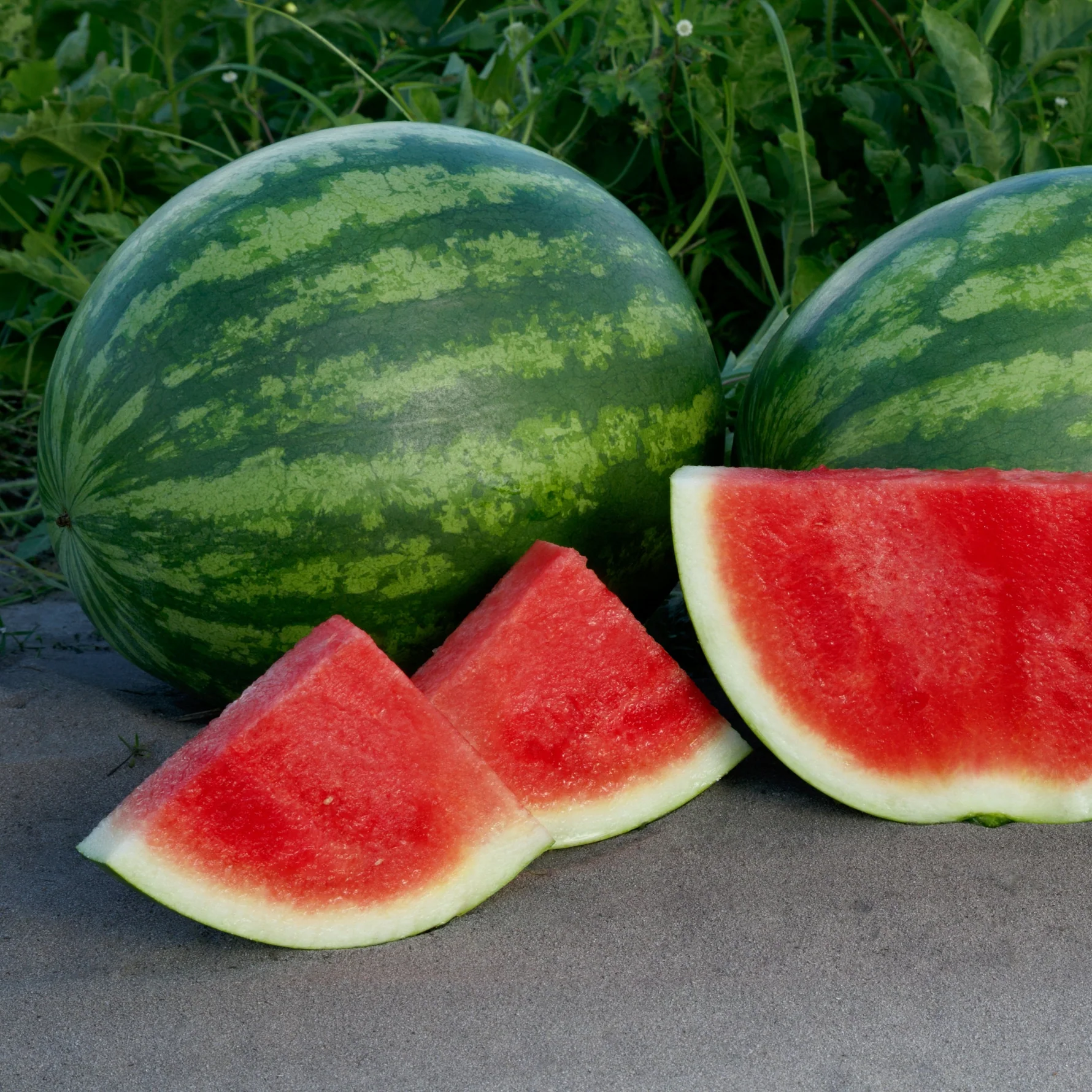 Watermelon
